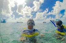 Hol Chan and Sharks Ray Alley Snorkeling