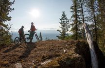Whistler Half-Day Mountain Bike Tour