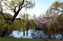 Private Scenic Central Park Walking Tour