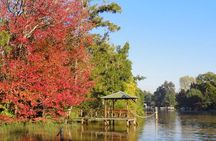 Tigre Delta Sightseeing Cruise from Buenos Aires