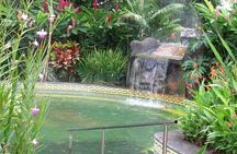 Dino Park and Blue River Resort Adventure in Rincon de la Vieja from Playa Del Coco