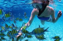 From Dubai: Snorkeling trip in Fujairah