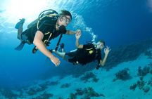 From Dubai: Discovery Scuba Diving & Snorkeling trip in Fujairah
