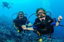 Two Dives for certified divers in Fujairah