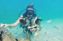 Discover Scuba Diving in Dubai