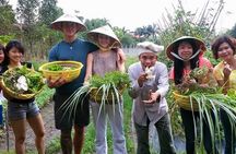 Explore Vietnamese Cuisine: Cooking Class from Ho Chi Minh City