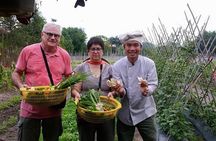 Vietnamese Cooking Class and Cu Chi Tunnels Tour from Ho Chi Minh City