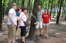 Cu Chi Tunnels half day private tour from Ho Chi Minh City