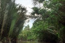 Mekong Delta in Ben Tre private tour full day