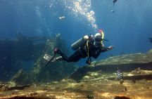 Try Scuba Diving at Tulamben Shipwreck
