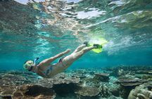 Snorkeling Package at Padang Bai Blue Lagoon