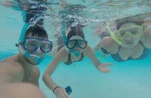 3 Point Snorkeling Safari