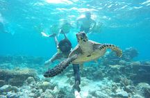 4-Night Maldives Guided Local Experience from Male' Airport