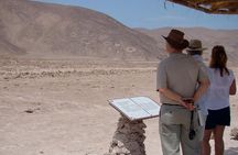 Pintados Geoglyphs, Humberstone and Salar Crespo tour