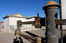 Pintados Geoglyphs, Humberstone and Salar Crespo tour