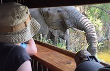 3-Day Tour of Kruger National Park from Skukuza Airport