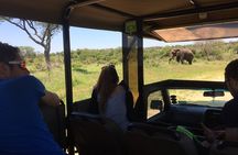 3-Day Tour of Kruger National Park from Skukuza Airport