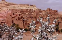 Ait Benhaddou Day Trip from Marrakech