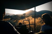 Scenic Game Drive Activity
