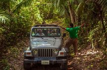 Jungle Jeep Adventure from Belize City
