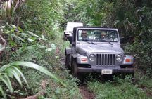 Jungle Jeep and Altun Ha Tour