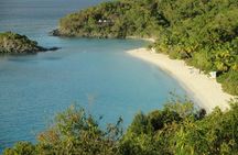 Private St John Tour including Trunk Bay