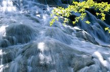 Dunns River Falls Excursions from Montego Bay