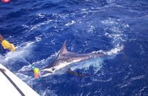 Private Fishing in St Lucia Charters