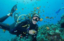 Maui Scuba Diving Introductory Lesson from Lahaina