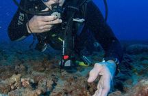 Maui Scuba Diving Introductory Lesson from Lahaina