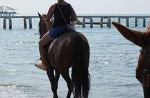  Horse Riding on the Beach in Side