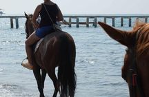 Bodrum Horseback Riding Experience with Hotel Transfer
