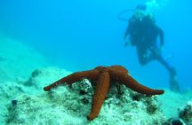 Half-day Scuba Diving Experience in Oludeniz
