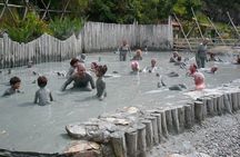 Dalyan River Cruise, Turtle Beach & Mud Baths from Marmaris