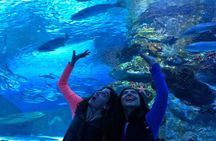 Antalya: Aquarium, Wax Museum, Snow World, Wild Park, XD Cinema