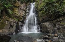 El Yunque Rainforest Tour with Transport from San Juan