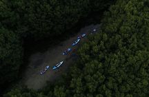 Bioluminescent Bay Kayak Adventure Tour from San Juan