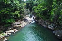 El Yunque Off the Beaten Path Tour with Transportation