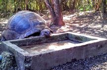 Eco Tour: Nature Reserve, Blue Bay, La Vanille Reserve, Gris Gris