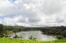 Private Craft Tour: Tea Factory - Rhumerie - Diamond Museum - Ship Model Factory