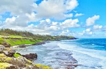 South Mauritius Private Day Tour: Tea Factory, Nature Park and Wild South Coast