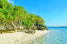 Ile aux Aigrettes Nature Reserve, Blue Bay Beach, La Vanille Park & Gris Gris