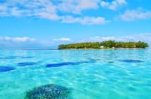 Ile aux Aigrettes Nature Reserve, Blue Bay Beach, La Vanille Park & Gris Gris