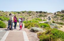 Margaret River Coastal and Wildlife Eco Trip from Busselton or Dunsborough