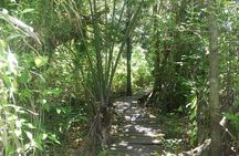 Private tour to arqueological zone Muyil and Sian Kaan Biosfhere