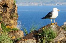 Day Tour to Sevan Lake, Tsakhkadzor Rope Way and Kecharis Monastery in Armenia