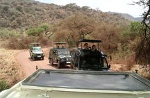Manyara and Ngorongoro Crater