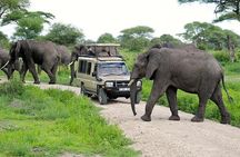3-Day Safari Tour to Tarangire National Park, Lake Manyara National Park and Ngorongoro Crater from Arusha