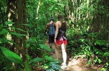 2-Day Khao Sok Jungle Safari from Krabi