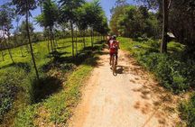 Krabi Countryside Eco Cycling Tour - Multiple Trails